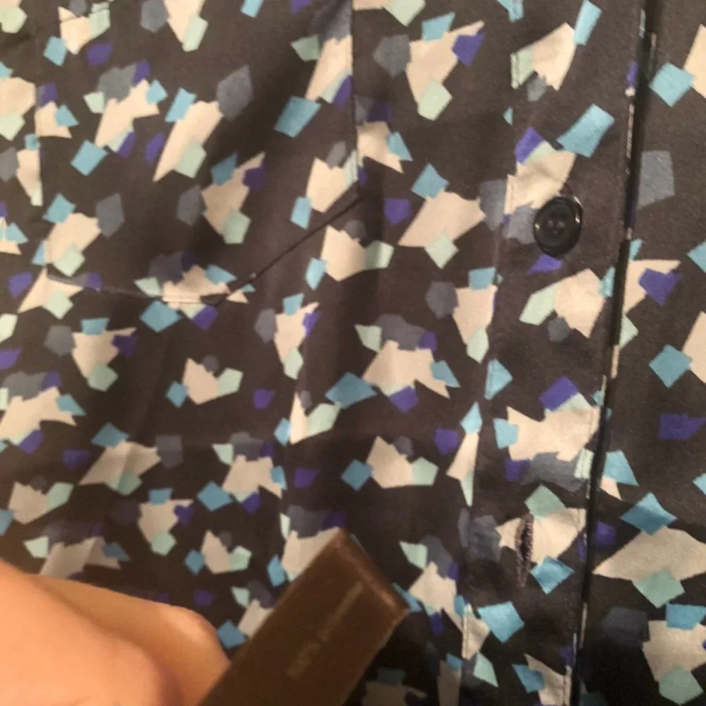 The Limited Silky Long Sleeve Blouse